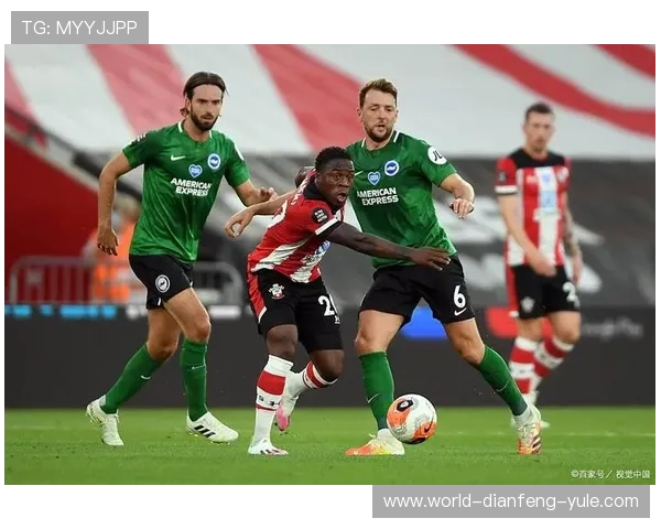 布莱顿俱乐部最新动态解析及赛季表现全面点评